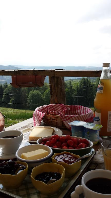 Les Grandes Fontaines Bed and Breakfast La Longine Exteriör bild