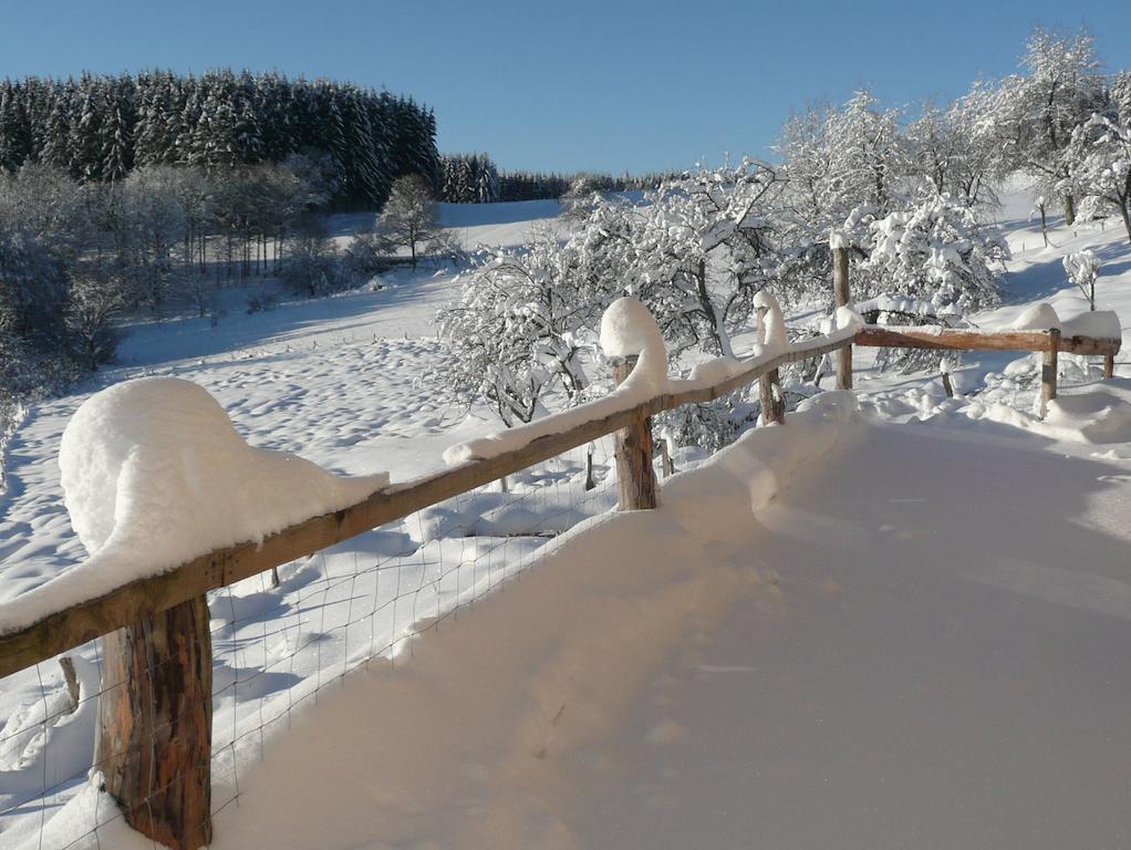 Les Grandes Fontaines Bed and Breakfast La Longine Exteriör bild